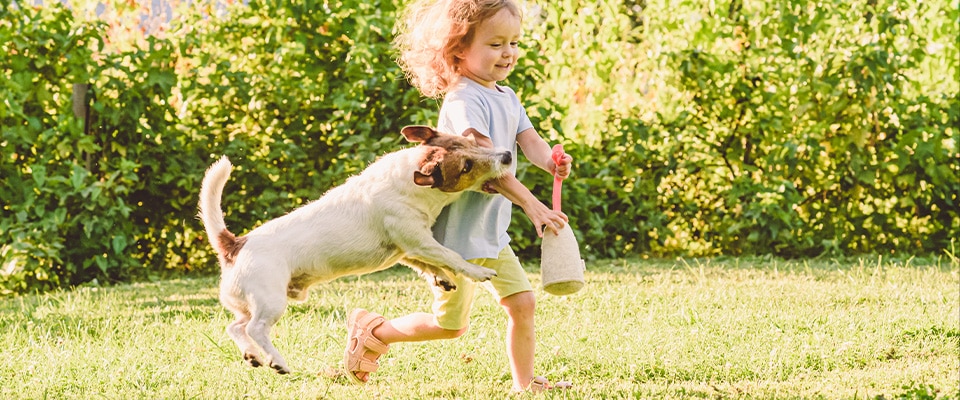 What to Do When Your Dog Bites Someone for the First Time? – Explained
