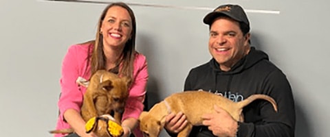 The Hammer at Kentucky Humane Society