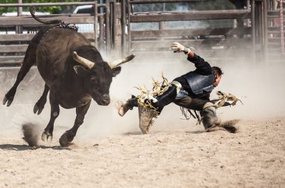 Can you Sue After Signing a Waiver?<br/>Lessons from Boxing and Bulls
