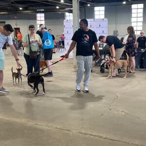 LOU Adopts