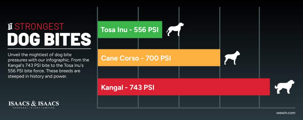 Dog Bite ratings